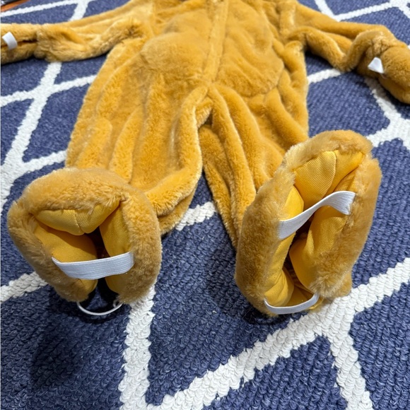LION Costume 2T - Picture 2 of 3
